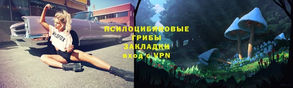 молекула духа Ладушкин