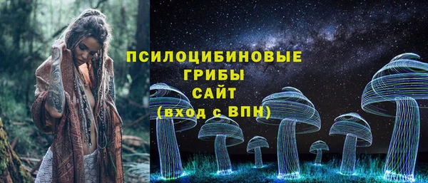 трава Лабытнанги