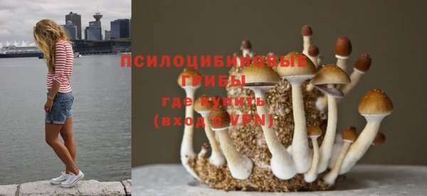 молекула духа Ладушкин
