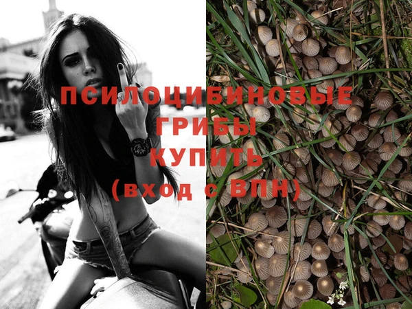 хмурый Лагань