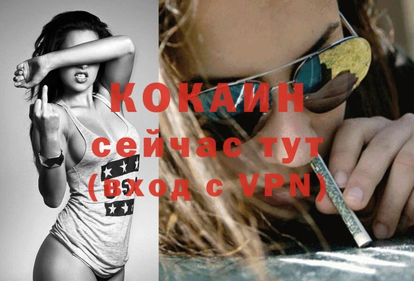 молекула духа Ладушкин