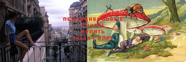таблы Лиски