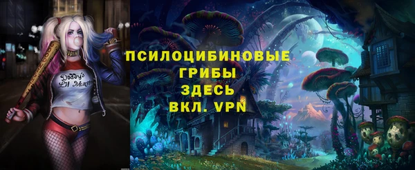 хмурый Лагань