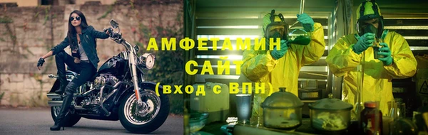 молекула духа Ладушкин