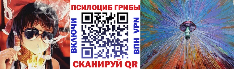 hydra ССЫЛКА  Новоуральск  Псилоцибиновые грибы Magic Shrooms 
