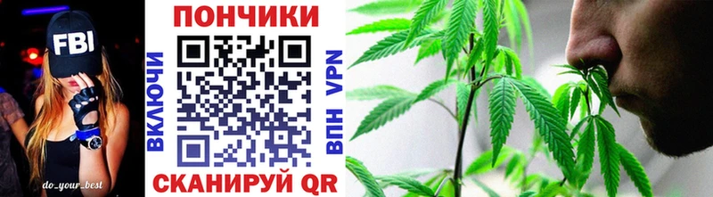 сколько стоит  Новоуральск  Конопля ГИДРОПОН 